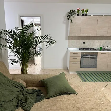 Nest Living - Evergreen *