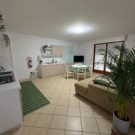 Apartment Nest Living - Evergreen