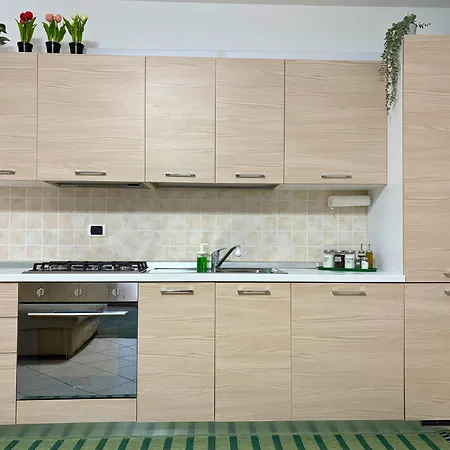 Nest Living - Evergreen *