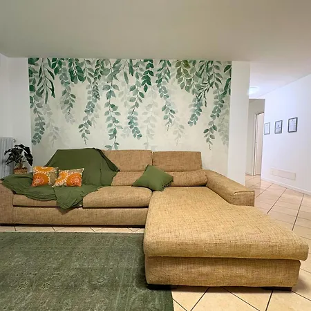 Nest Living - Evergreen