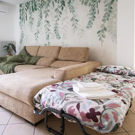 Nest Living - Evergreen *